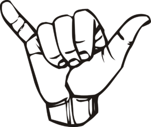 Na sliki je narisana roka, ki v slovenskem znakovnem jeziku predstavlja črko y, v mednarodnem znakovnem jeziku pa gre za gesto prijaznega namena, ki je pogosto povezana s Havaji in kulturo deskanja na valovih.